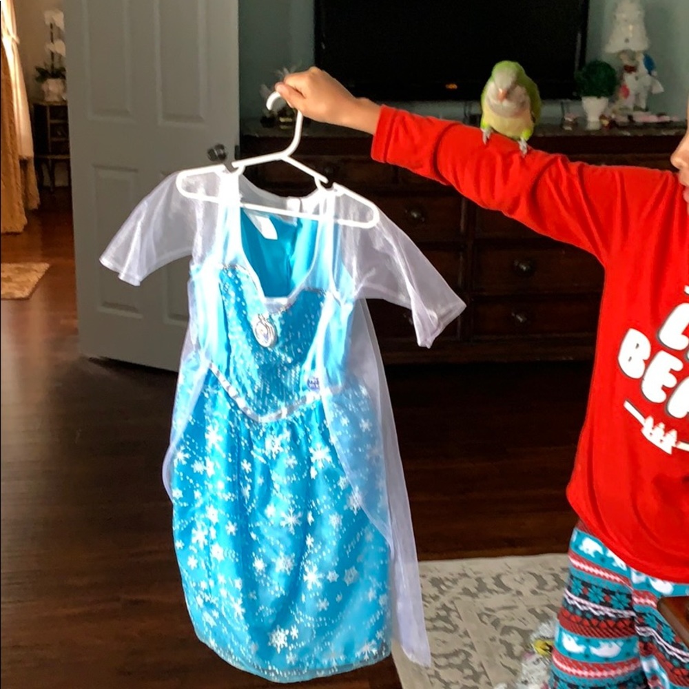 Elsa Halloween costume dress - Picture 1 of 3